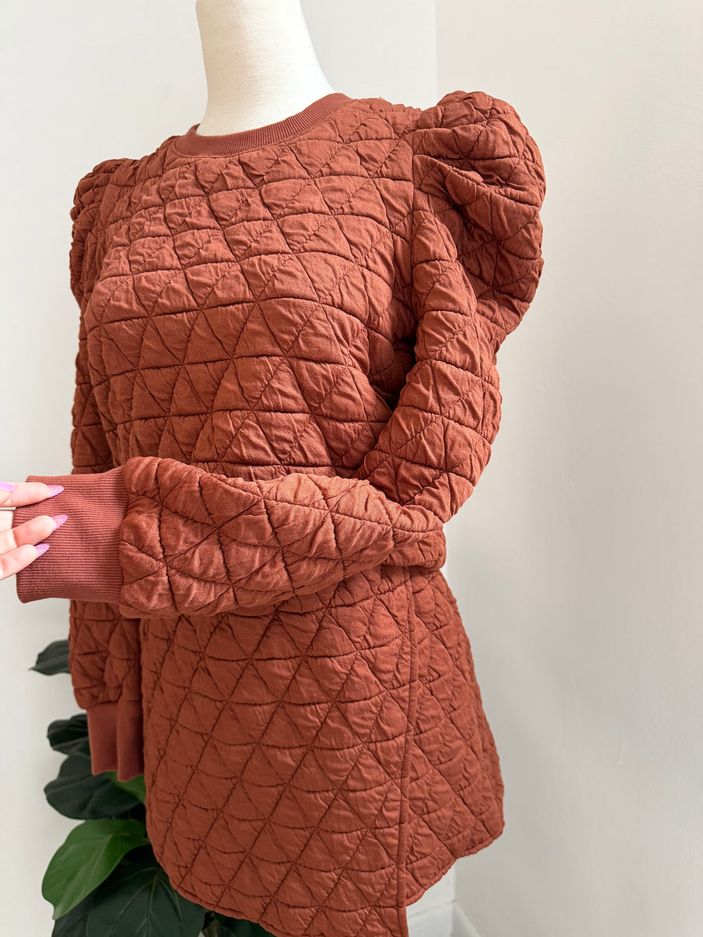 Set terracota