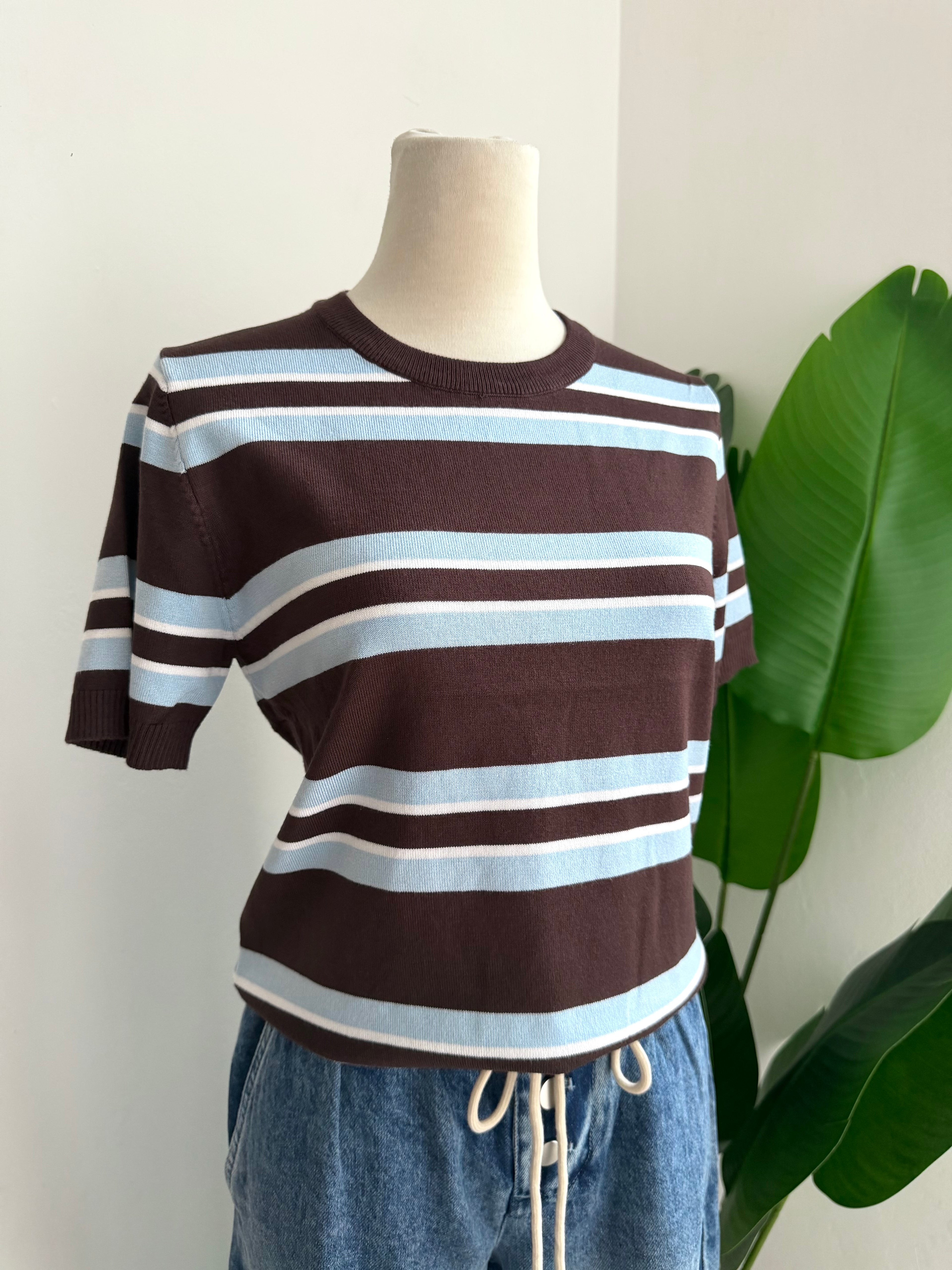 Blusa rayas café y celeste