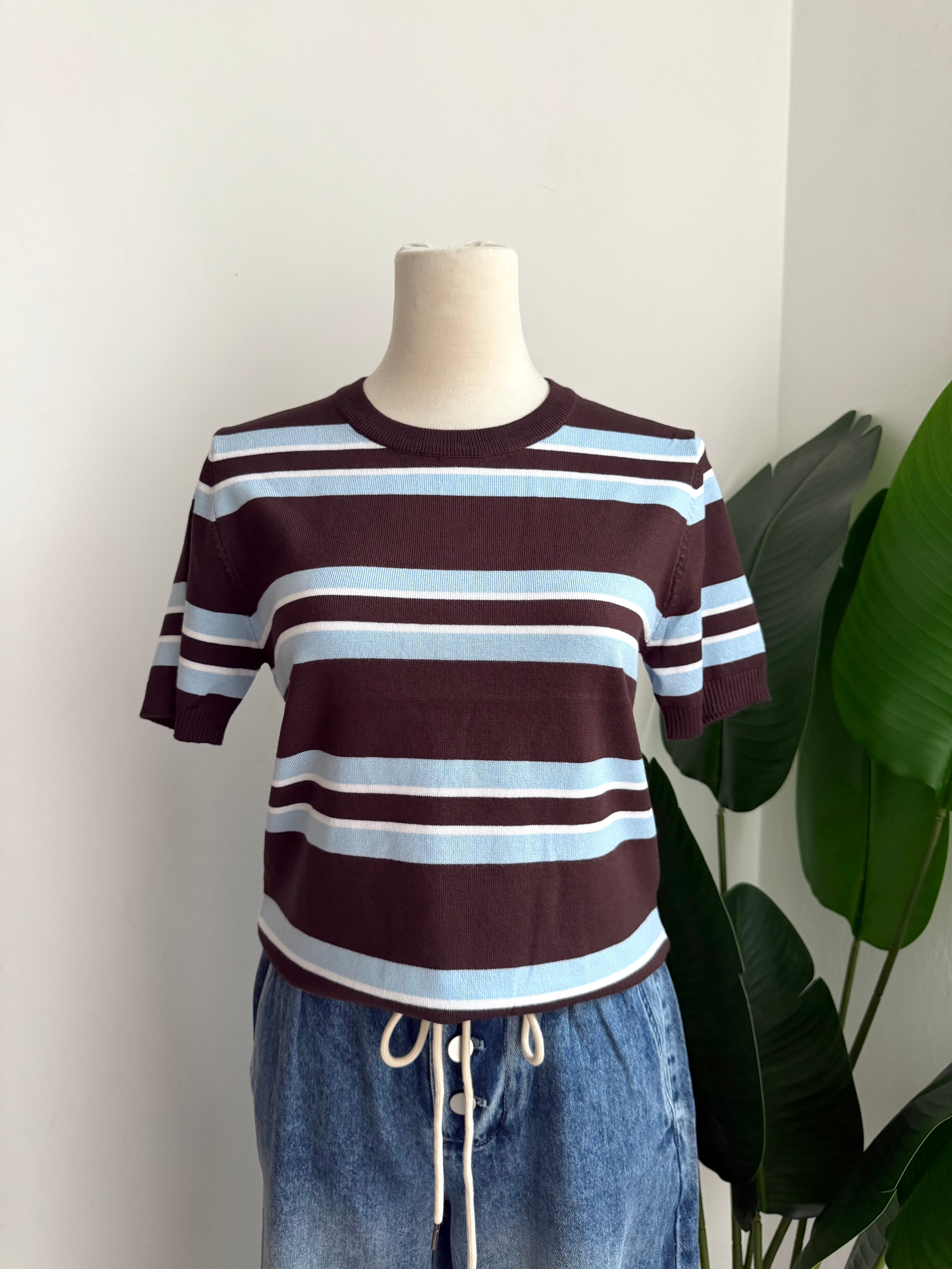 Blusa rayas café y celeste